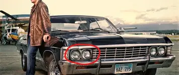 impala_2.webp