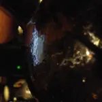 0305172049c[1].webp