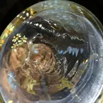 0305172104a[1].webp