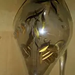 0305172110a[1].webp