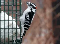 K1600_DSCN1090.webp