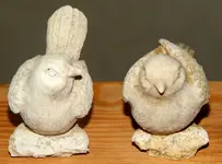DSCN5152.webp