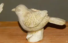 DSCN5158.webp