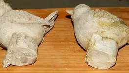 DSCN5159.webp