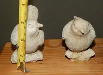 DSCN5162.webp