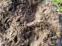20170304_093608.webp