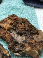 ImageUploadedByTreasureNet.com1490568731.075028.webp