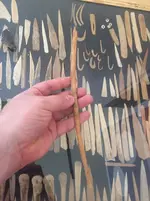 Bone1.webp