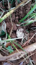 IMG_20170218_092236_291.webp IMG_20170218_092236_291.webp