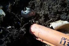 100_0165.webp