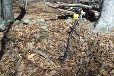 100_0157.webp