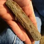 Pocket knife.webp