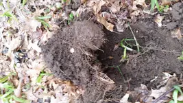 20170320_134752.webp