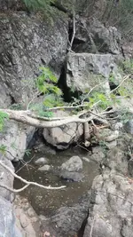 1488240964939.webp