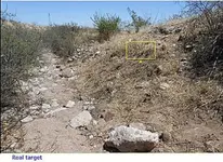 mine-a1.webp