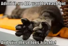 FB_IMG_1486085404545.webp