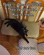 FB_IMG_1486085333085.webp