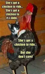 FB_IMG_1486087184193.webp
