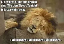 FB_IMG_1486085526279.webp