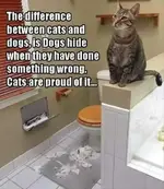 FB_IMG_1486435859159.webp