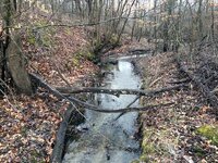 Creek-2017-03-26-IMG_2139SS.jpg