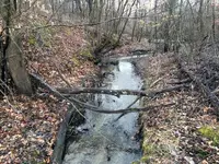 Creek-2017-03-26-IMG_2139SS.webp