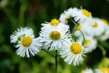 spring_1.webp spring_1.webp