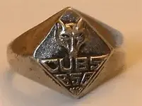 Cub Scout.webp