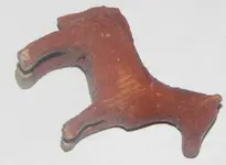 DSCN5510.webp
