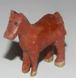 DSCN5512.webp