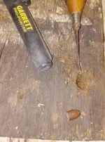 bargeslug.webp bargeslug.webp