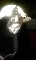 1490576627216.webp