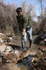 David-feeding-sluice-1.webp