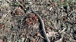 IMG_20170219_103111_303.webp