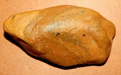 DSCN5793.webp