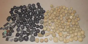 DSCN0940.webp