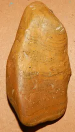 DSCN5794.webp