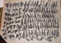 DSCN0915.webp