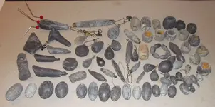 DSCN0918.webp