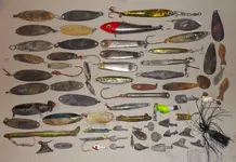DSCN0922.webp