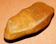 DSCN5796.webp