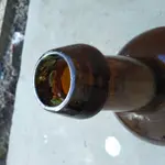 0306171354a[1].webp