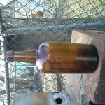 0306171353[1].webp