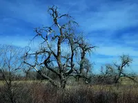 bike ride 031817 1.webp