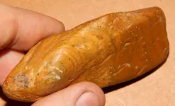 DSCN5797.webp