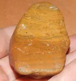 DSCN5798.webp