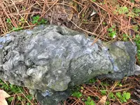 ImageUploadedByTreasureNet.com1488827353.555353.webp