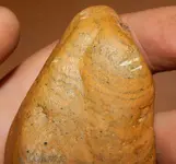 DSCN5804.webp