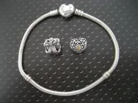 Mojave - Charm Bracelet - 2 Pendants 017.webp