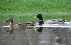 K1600_DSCN1701.webp